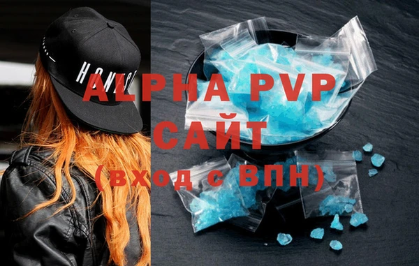сатива Инсар