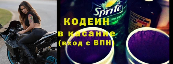 сатива Инсар