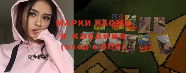 сатива Инсар