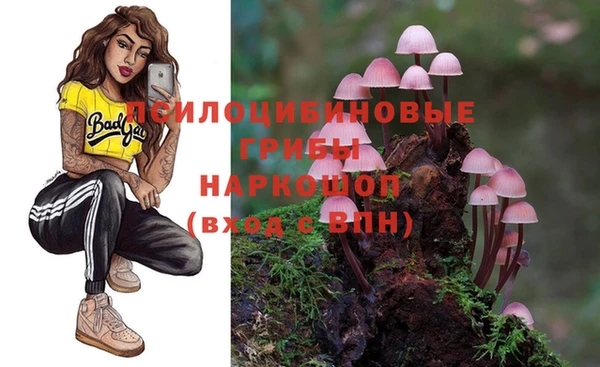 ГАЛЛЮЦИНОГЕННЫЕ ГРИБЫ Иннополис