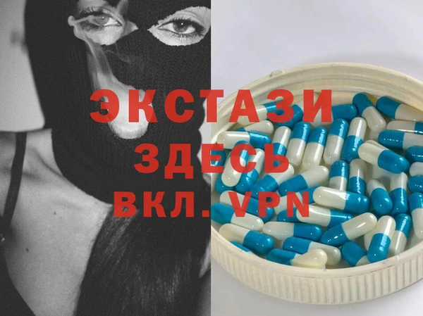 сатива Инсар