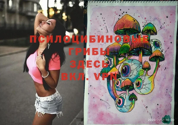 ГАЛЛЮЦИНОГЕННЫЕ ГРИБЫ Иннополис