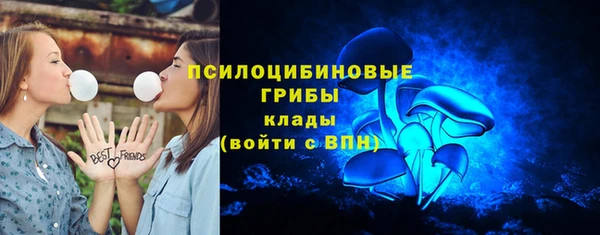 сатива Инсар
