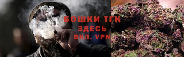 сатива Инсар