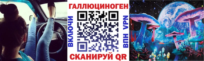 Псилоцибиновые грибы Psilocybe  Купить  Пересвет 